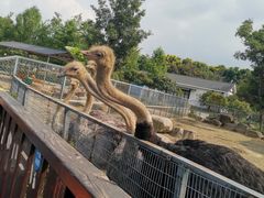 -上方山森林动物世界