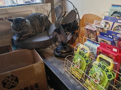 -正阳书局(西四南大街店)