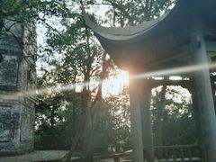 -江心屿景区