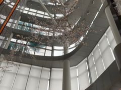 -云端西餐厅(南宁龙光那莲豪华精选酒店)