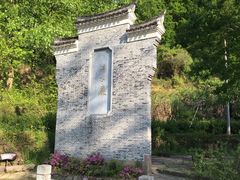 -桑洲油菜花景区