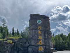 -汤旺河林海奇石景区