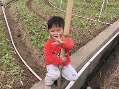 -华莱士·全鸡汉堡(金珠店)