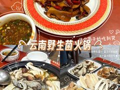 -菌之家·专业纯野生菌火锅·特色炒菌