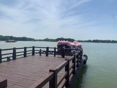 -苏州太湖国家湿地公园