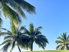 -海南鉴湖蓝湾高尔夫球会