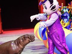 -珠海横琴长隆《卡卡虎奇遇记》