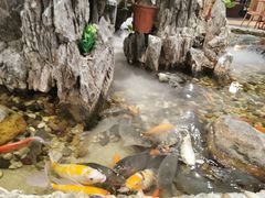 -丰圆轩粤式茶楼 . 点心粤菜(夏茅店)