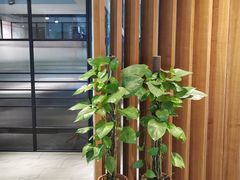 -老鼎旺安格斯牛肉火锅(衡艺广场店)