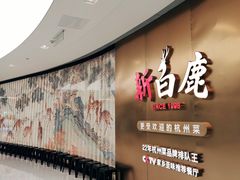 -新白鹿餐厅(虹桥南丰城店)