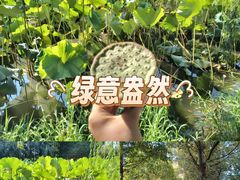 -庾园