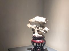 -觀芷隐轩