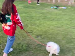 -滨湖塘西河公园