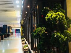-老头儿油爆虾(星光一期店)