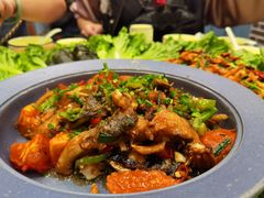 -谢三姐金奖啤酒鱼(总店)