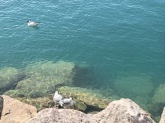 -青海湖二郎剑景区