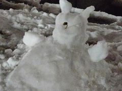 -包装马车·韩国料理·포장마차