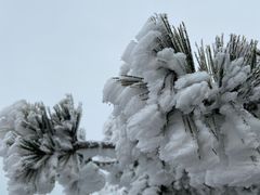 -华山风景名胜区