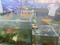 水产区-明记海鲜大排档(巽寮湾店)