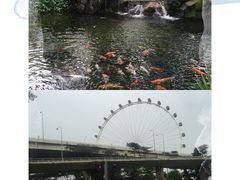 -鱼尾狮公园