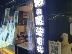 -猫的魔法密林(衣裳街店)