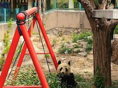 -天津市动物园