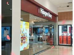 -哈根达斯(石家庄北国店)