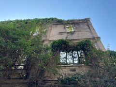 -老福平张记杏仁茶芝麻茶
