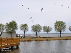 -卧龙湖