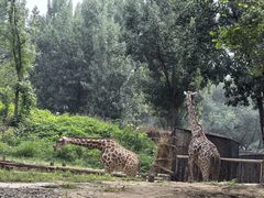 -北京野生动物园