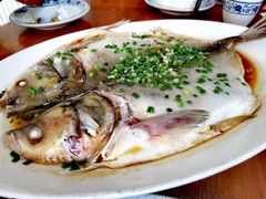 清蒸海鲈鱼-汤河清真餐馆