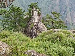 -鄣山大峡谷