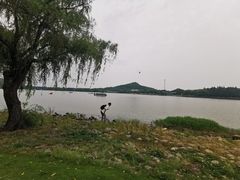 -上海月湖雕塑公园