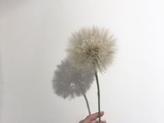 -星巴克(南京弘阳购物中心店)