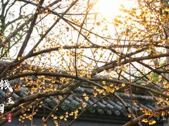 -钱王祠