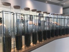 -喜茶(广州番禺奥园广场店)
