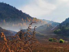 -丰都鬼城名山景区