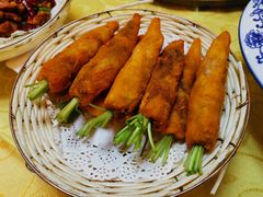 -丁老爷子苏香圆