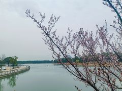 -美兰湖景区