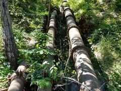 -沕沕水生态风景区