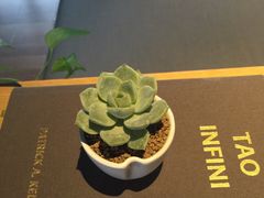 九霄会馆(太极Yoga)-九霄会馆·太极(现代大厦店)