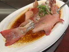 -燕春园中餐厅-北大博雅国际酒店
