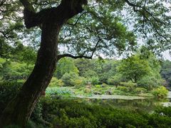 -杭州植物园