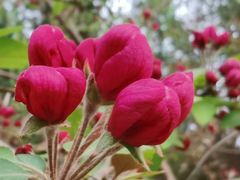 -元大都城垣遗址公园