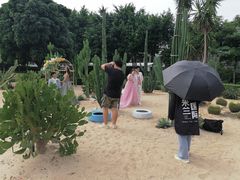 -玫瑰小镇