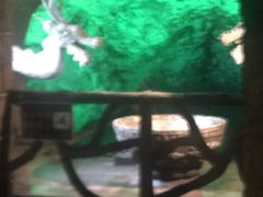 -青岛葡萄酒博物馆