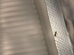 -深圳东部华侨城茵特拉根酒店