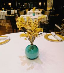 -英芬国际月子中心(岛屿度假月子·洲至奢选香岚店)