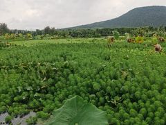 -和顺古镇