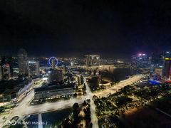 -新加坡瑞士史丹福酒店